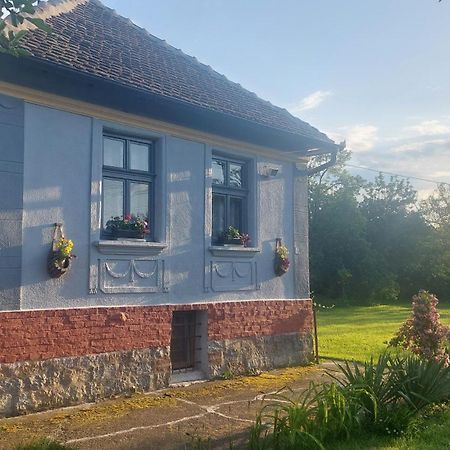 Apartmani Petkovic 226 Velika Drenova Kültér fotó