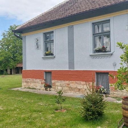 Apartmani Petkovic 226 Velika Drenova Kültér fotó