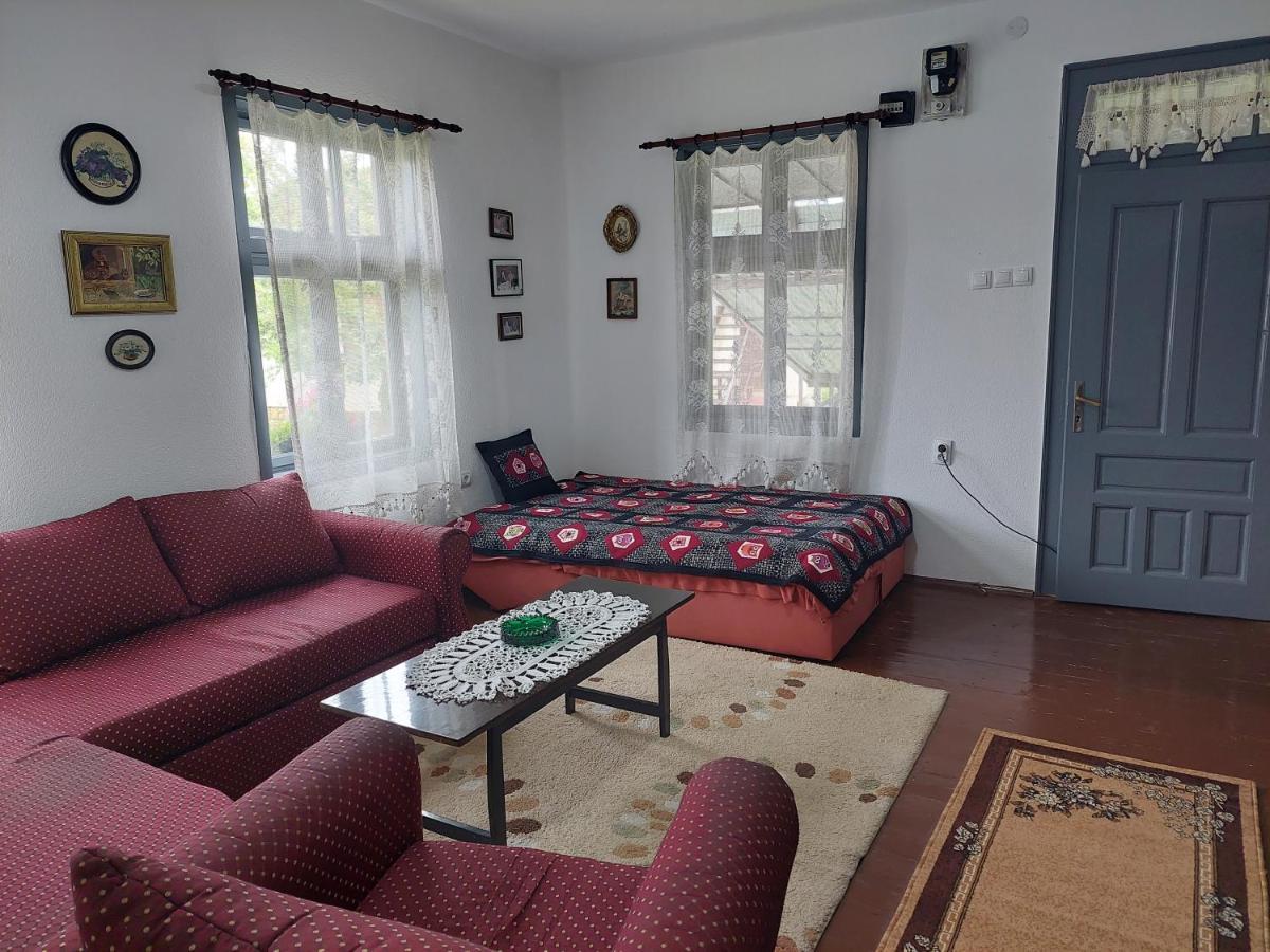 Apartmani Petkovic 226 Velika Drenova Kültér fotó