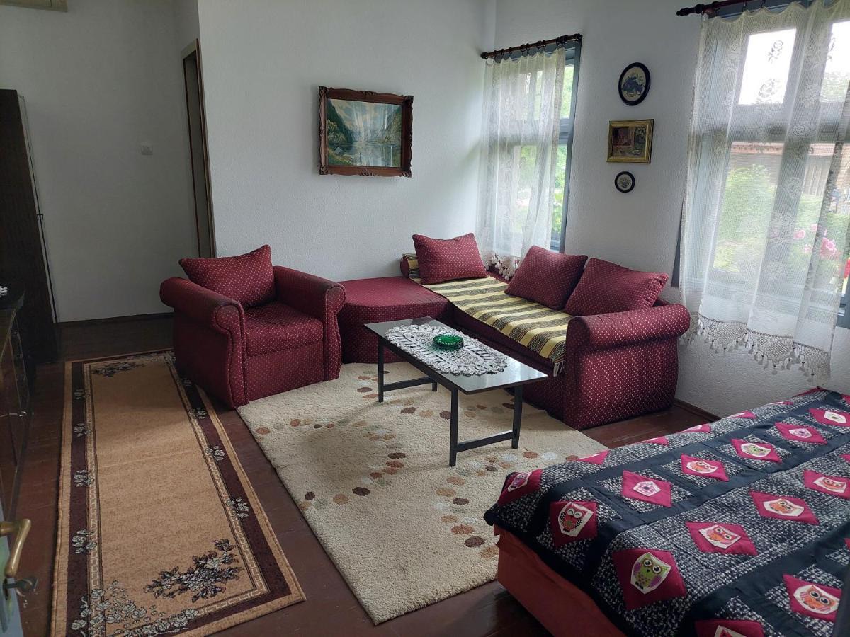 Apartmani Petkovic 226 Velika Drenova Kültér fotó