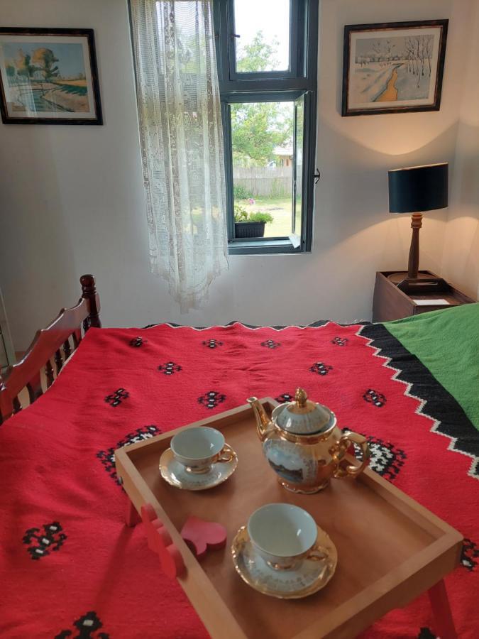 Apartmani Petkovic 226 Velika Drenova Kültér fotó