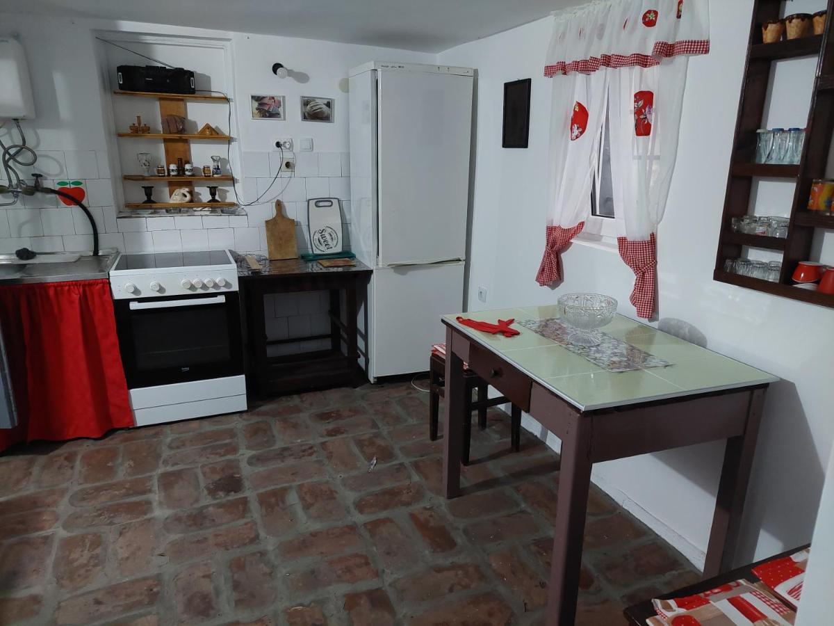 Apartmani Petkovic 226 Velika Drenova Kültér fotó
