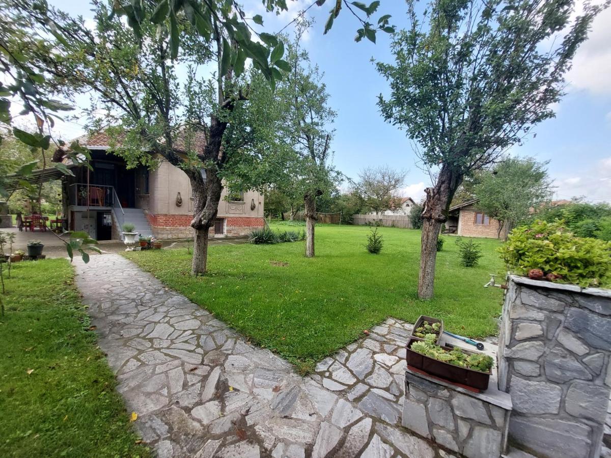 Apartmani Petkovic 226 Velika Drenova Kültér fotó