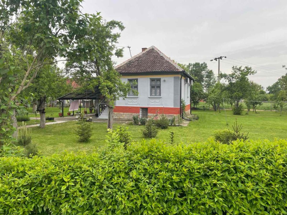 Apartmani Petkovic 226 Velika Drenova Kültér fotó