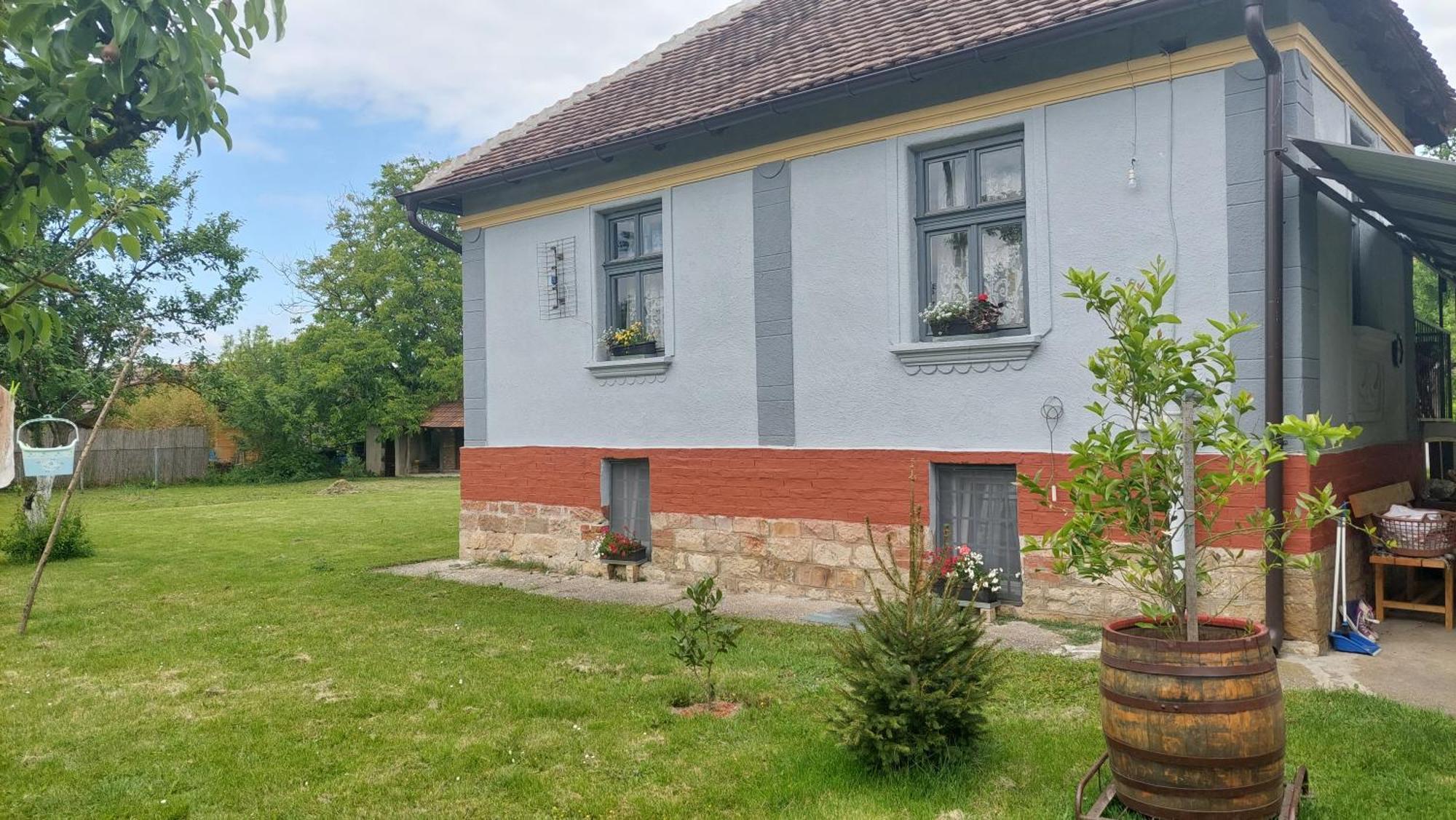 Apartmani Petkovic 226 Velika Drenova Kültér fotó